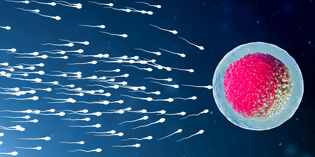 Cauzele și tratamentul deteriorării ADN-ului spermatozoizilor