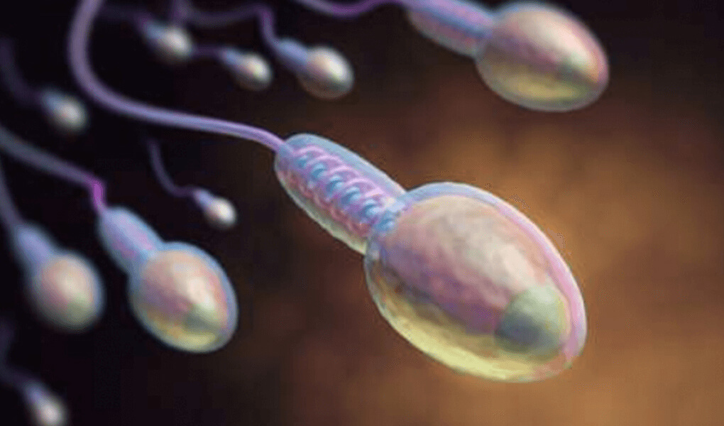 Frica bărbaților: tulburări in textura (morfologia) spermei