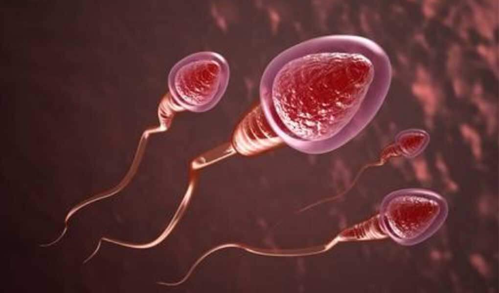 Ce este testul de analiză a spermei (spermiograma), şi cum se face?